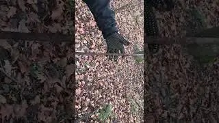 Знайшов металошукачем гарпун! #Shorts