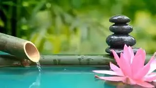 Slap af musik med naturens lyde Bamboo Water Fountain Healing Music BGM