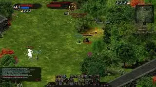 Dreadmyst Cleric 5.5k CR Solo Mino WB