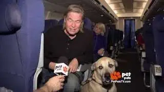 Flying With Your Dog: What You Need to Know