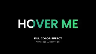 CSS Text Fill Color on Hover Effect | CSS Animation