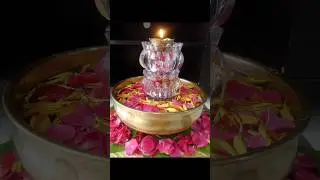 Urli BowlDecorationFlower pot#decoration #urli #shorts #attractive#trending #shortvideo #traditional