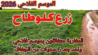 المغاربة متفائلين بموسم فلاحي واعد بعد 6 سنوات من القحط والجفاف
