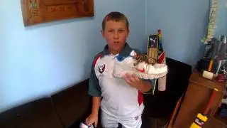 nike cricket shoes review