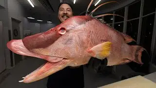 Рыба, о которой меня все спрашивают