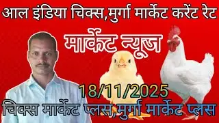 poultry rate today/thok murga mandi rates/aaj ka chicken rates today/murga mandi taza rate