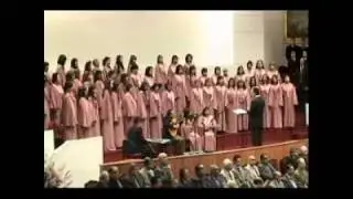 Si alegre voy cantando - Coro Polifonico