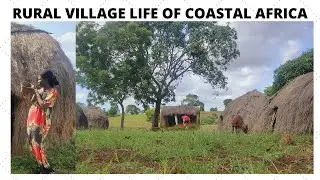 Real Traditional Lifestyle in Coast  Village||Village Life In Africa Region||Rural Coastal Lifestyle