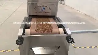 40kW microwave pet food quick drying machine, continuous production chicken feed drying tunnel furna