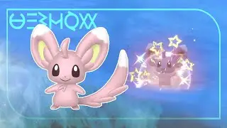 Minccino Shiny in the Terarium ! [FULL ODDS] - BlueBerry Academy - Pok&eacute;mon Violet