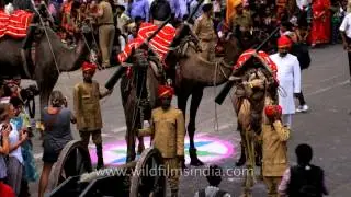 Camels and Rajasthanis celebrate Teej festival at Tripolia Gate