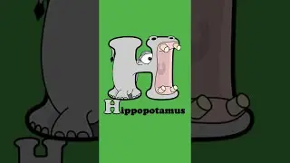 Animals that start with H - Hippopotamus, Horse, Hummingbird, Hyena #Shorts