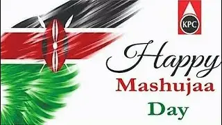 MASHUJAA  REGGAE MIX  _ VOL 1 | RED FOX | CALLIE BUDDZ | SKYLARKING MIXTAPE - DJ LYXX LIN