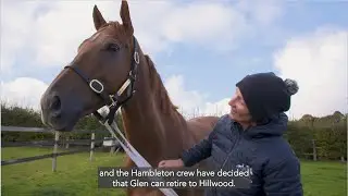 QIPCO British Champions Sprint Stakes winner Glen Shiel starts his retirement at Hillwood Stud