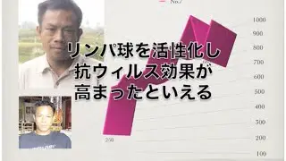 Effect Of Pine Nuts 五葉松の種子エキス バリアフーズSPNの効果