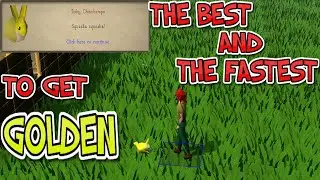 The BEST and The FASTEST way to get golden chinchompa pet osrs pet tutorial