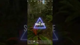 Jungle Update - Part 1 (Rust)