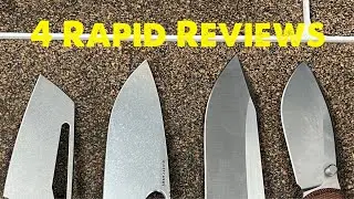 4 Rapid Reviews