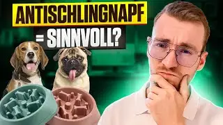 Antischlingnapf = Sinnvoll f&uuml;r Hunde⁉️