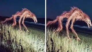 Des Événements Réels Filmés qui Terrifient les Scientifiques