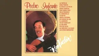 Mi chorro de voz