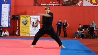 WKF World Championships 2014 - Matou&scaron; Brichc&iacute;n