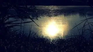 Saga - Moonlight (Cirax Records)