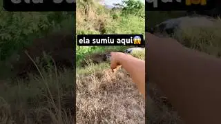 ELA SUMIU AQUI EMBAIXO OLHA😱 #assombra&ccedil;&atilde;o #lendas #misterio #fantasmas
