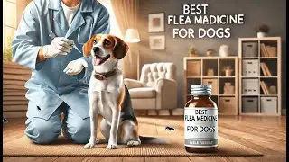 🐶 Amazon Basics Flea and Tick Topical Treatment for Small Dogs | Best Flea Medicine Dogs 🐾