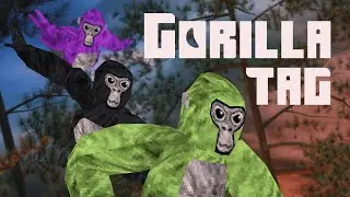 Gorilla Tag Beach Map parkour run.