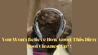 From Dirty To Clean ! Horse Hoof Trim!