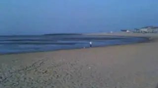 Beach Life
