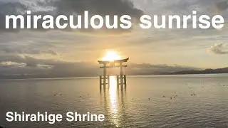 Shirahige Shrine_A place where you can see a miraculous sunrise
