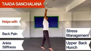 TADASANA WALK | Lower Back Pain | Upper Back Hunch | Ankle Stiffness | Improve Focus | @yogawithdp