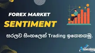 Forex Sentiment Trading Sinhala | Deriv Trading Sinhala | Forex Trading Sinhala | Amezing hub