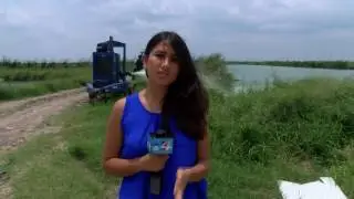 Alamo Treatment Plant Causing Serious Odor Problems
