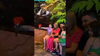 Dubai Mall Hidden Gem | Underwater Zoo & Aquarium #iamhvr #dubai