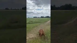🛩️ Gus' Historic Trail: Exploring Hidden WW1 Airfields in Burnham on Crouch #history #boxweiler