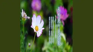 吹簫人去玉樓空 (加長版)