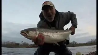 Exceptionnel : un Saumon Atlantique de 92 cm capturé en Loire