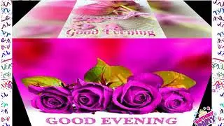 Good evening flowers