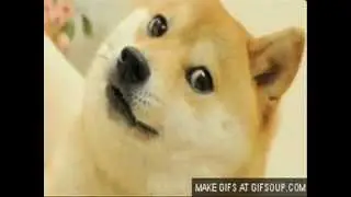 Doge Sound (Original)