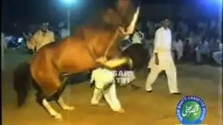 Ghora Dance Jatiyana Chak Jhang Sadar