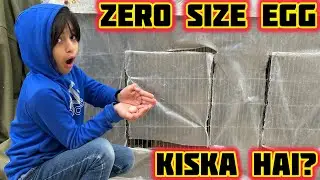 Sheru Ke Cage Se Nikla Zero Size Anda 😱 Yeh Kiska Hai