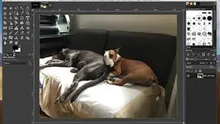 GIMP tutorial 2 (how to resize and export a photo)