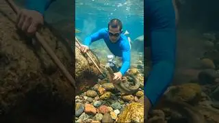 Unique Dragon Fish Catching, Underwater Adventure Video