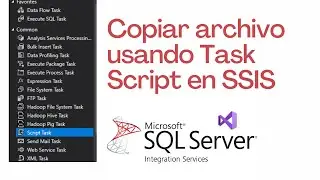 SSIS - Copiar Archivo de Texto con Task Script