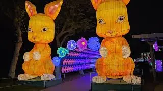 DUBAI GARDEN GLOW 2024 |DINOSAUR PARK IN DUBAI/ LARGEST PARK IN DUBAI_PART 2 @homeskitchenuae5009