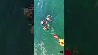 Scuba Divers Surfacing 🌊 | Puget Sound, Bainbridge Island (DJI Avata FPV 4K)