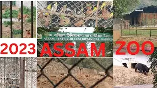 #zoo #assamstatezoo ||showing all the animals & birds inside Assam State Zoo ghy in a single video